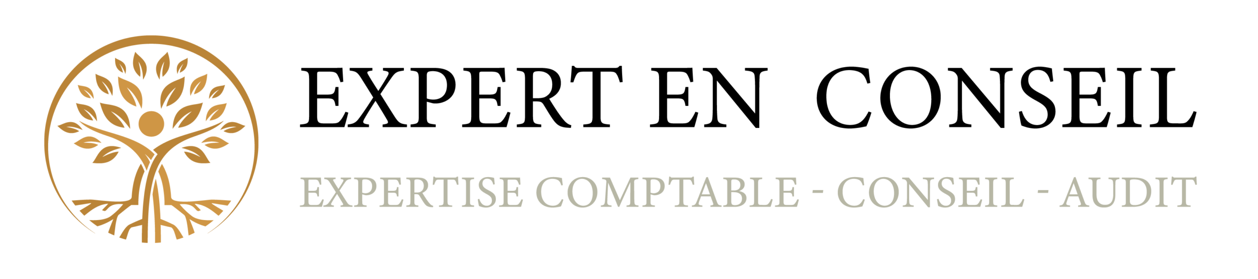 EXPERT EN CONSEIL