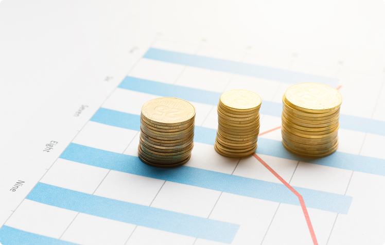 Budget prévisionnel